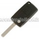 chiave/telecomando 2 tasti Citroen